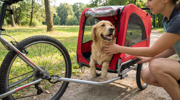 Dog Trailer